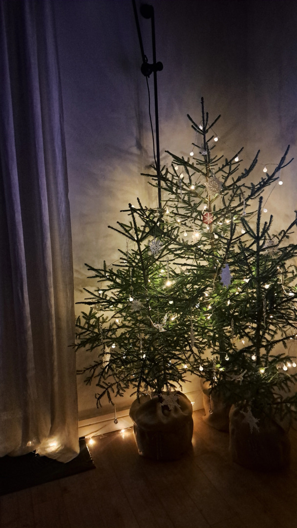 Частный дом Белый дом