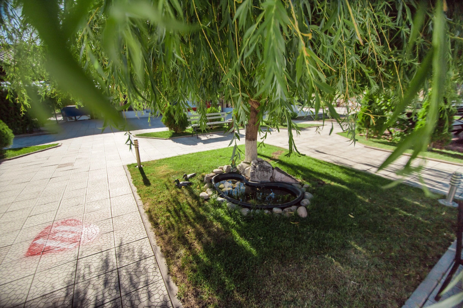 Отель Picnic Park