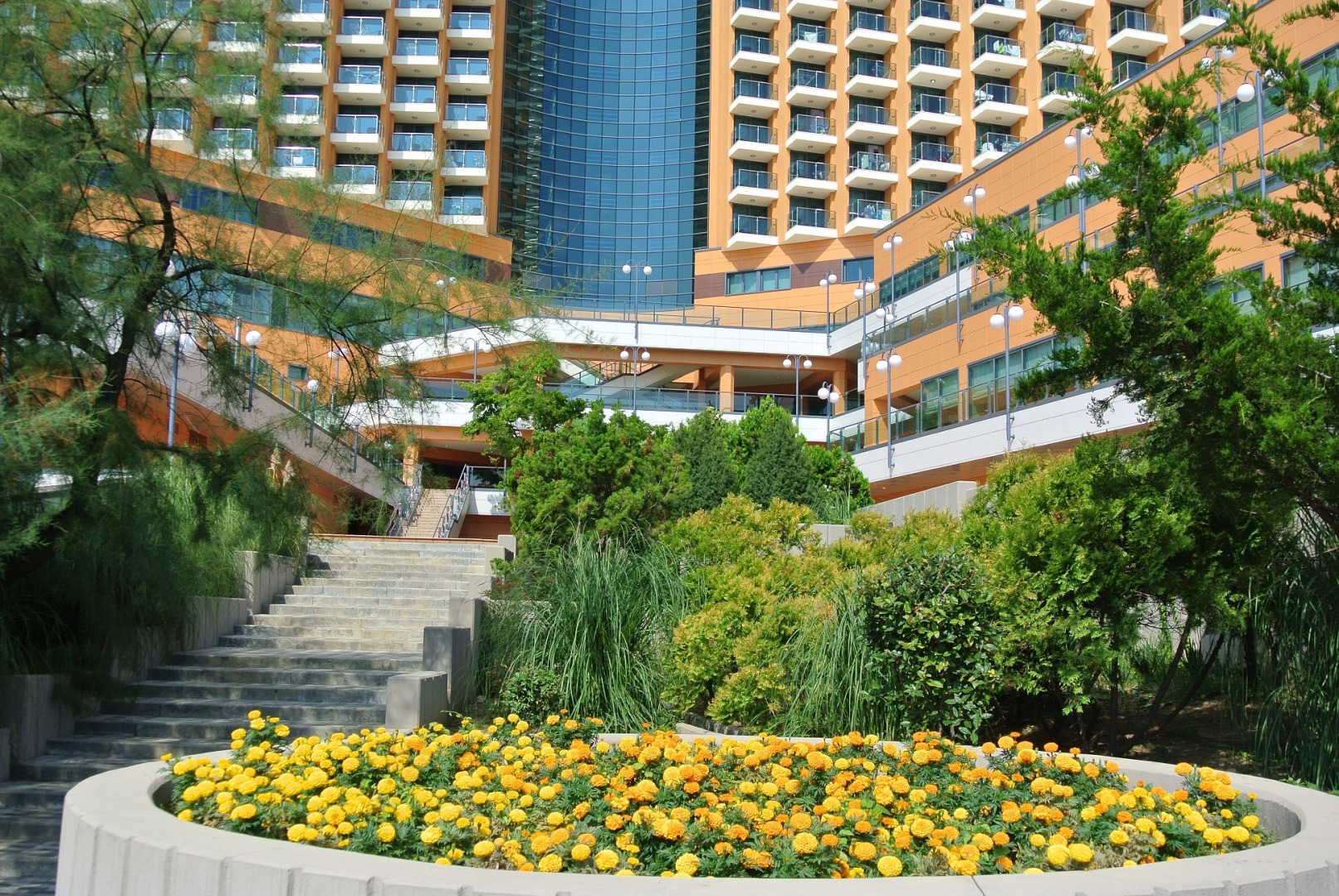 Отель Оздоровительный комплекс Дагомыc (корпус Главный)