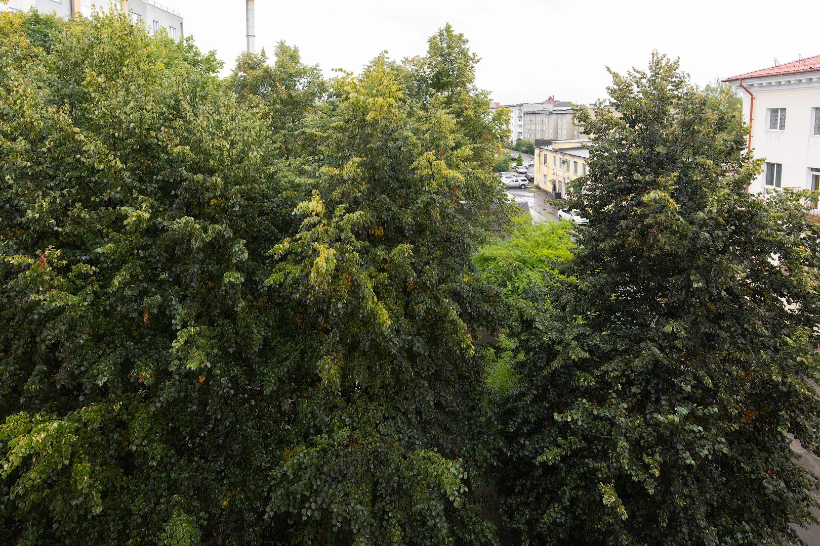 Апартаменты 2-хкомнатные  в Историческом Районе Понарт