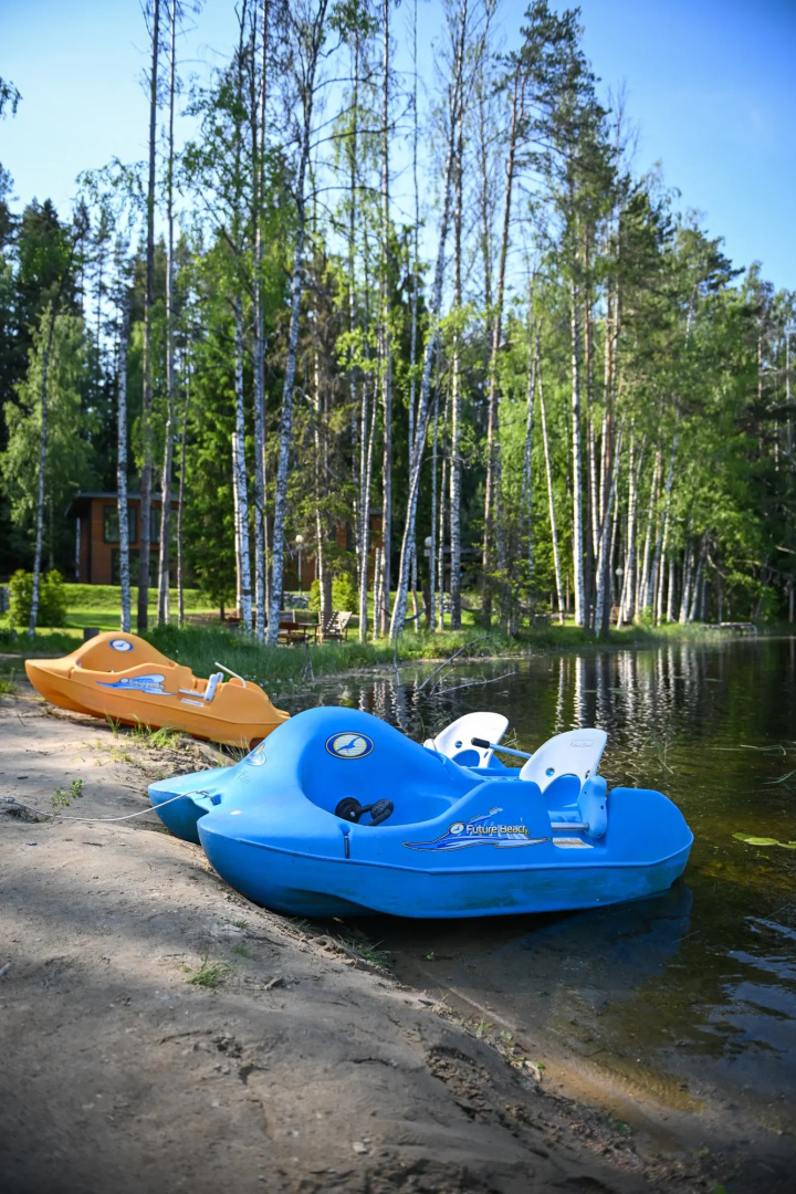 Коттедж Brusnika Village