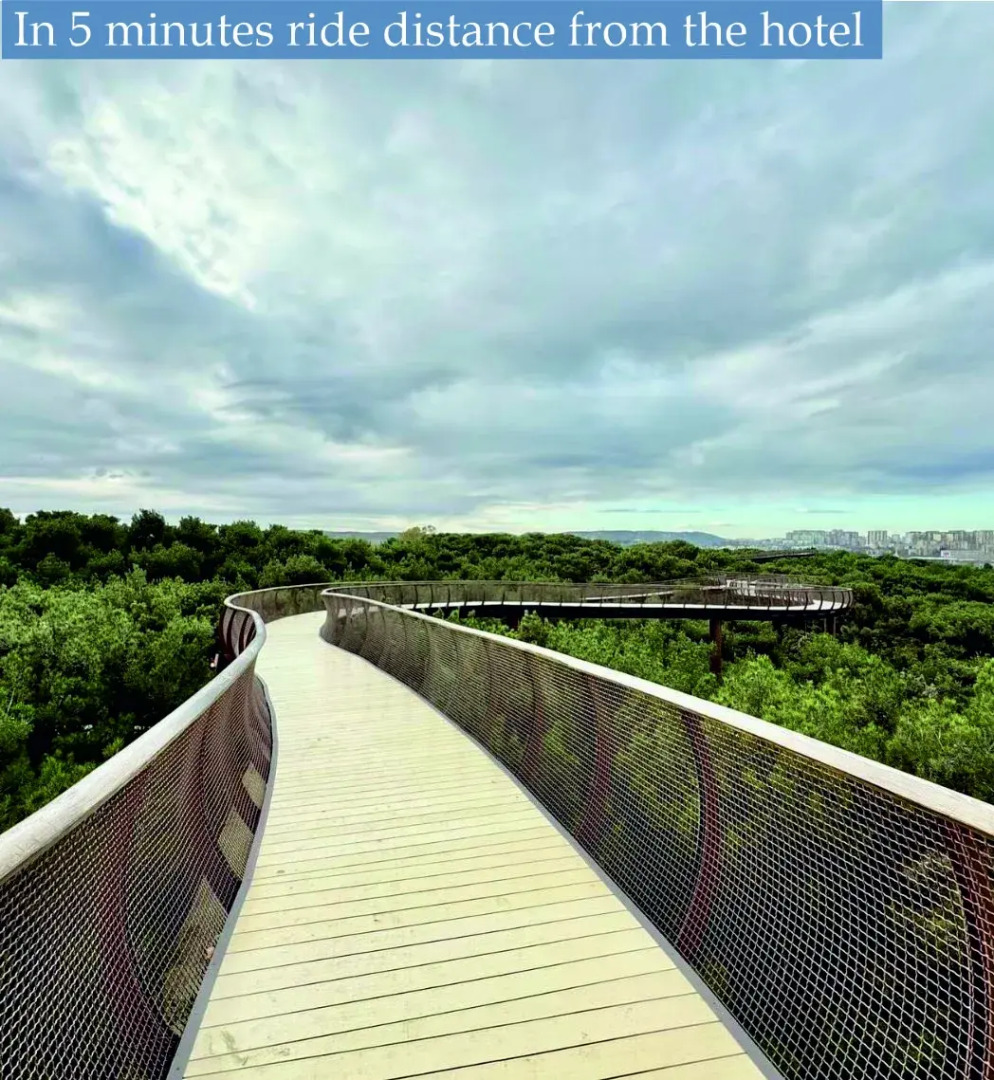 Отель Hillmond Hotel Baku