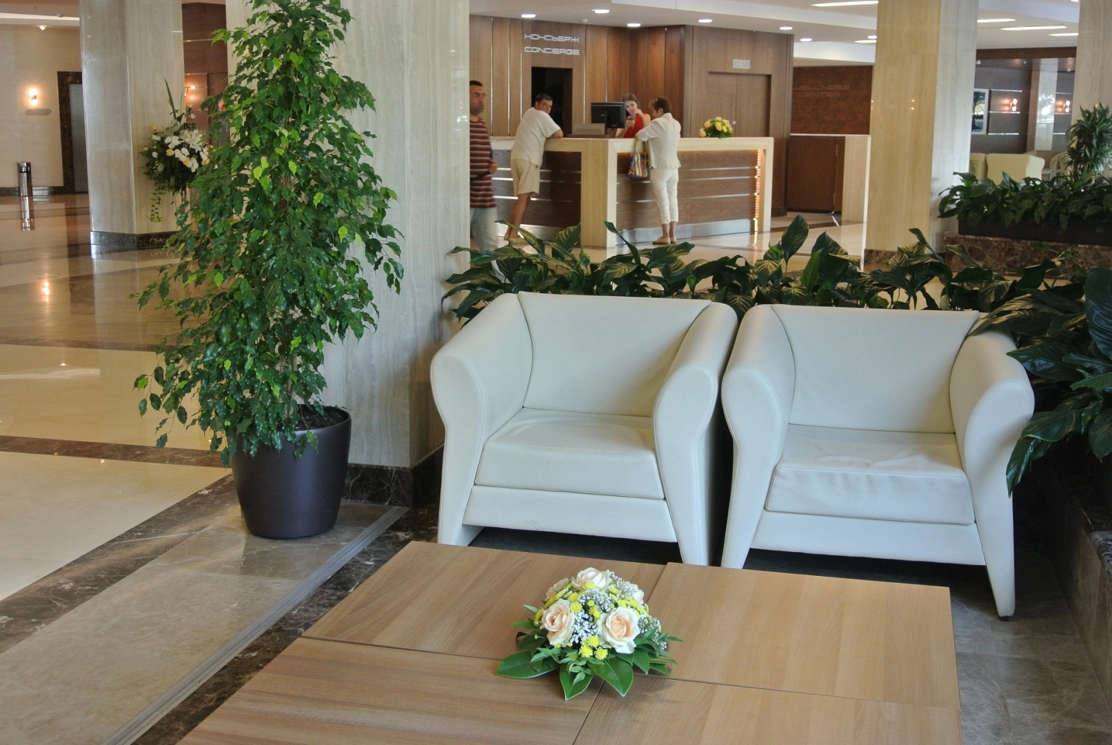 Отель Оздоровительный комплекс Дагомыc (корпус Главный)