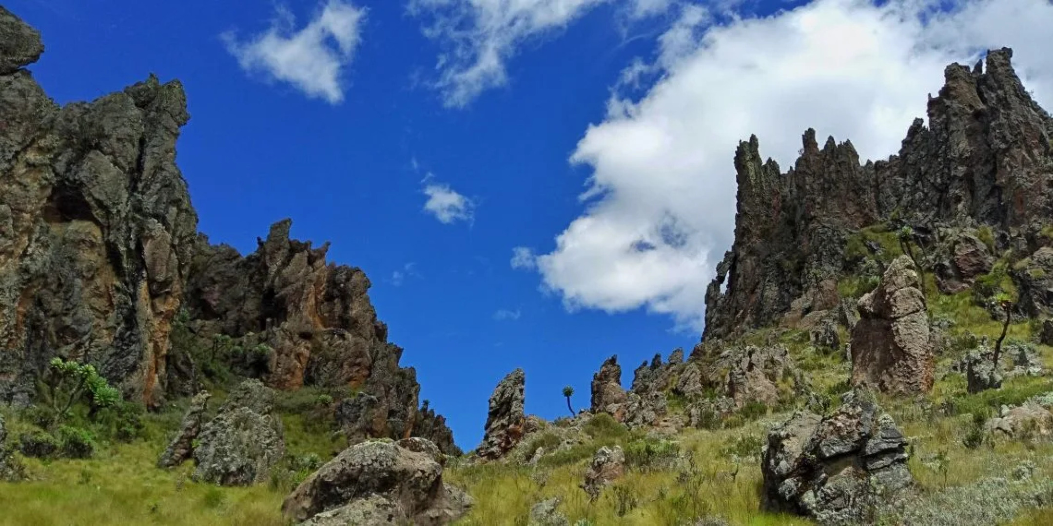 Гостевой дом Maverick Camp Rondavels and Homestay