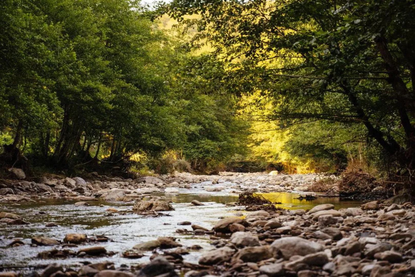 Лучшее место