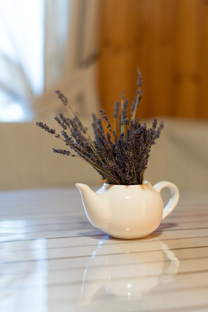 База отдыха Антлер