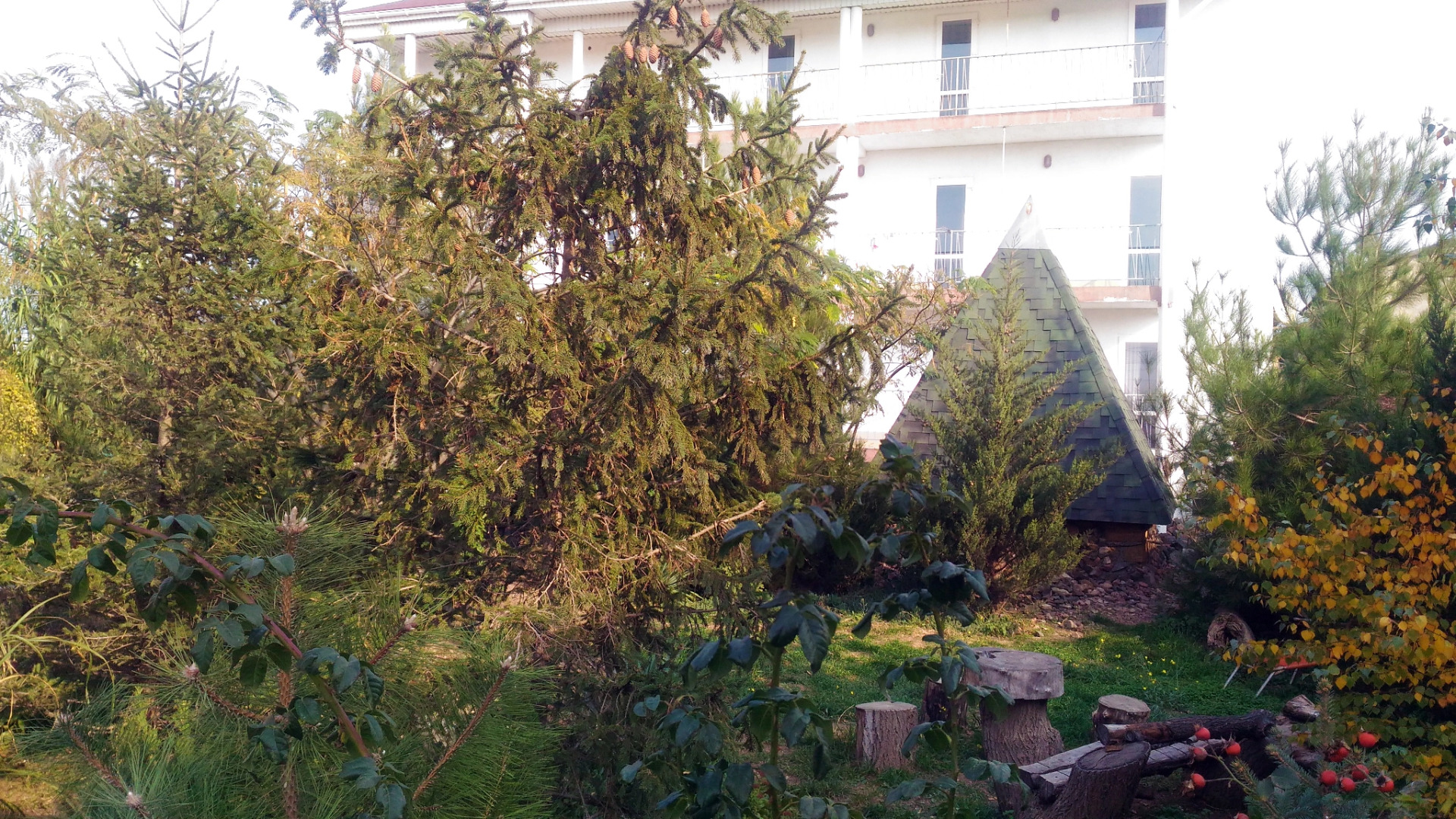 Гостевой Дом Адель Николаевка Крым