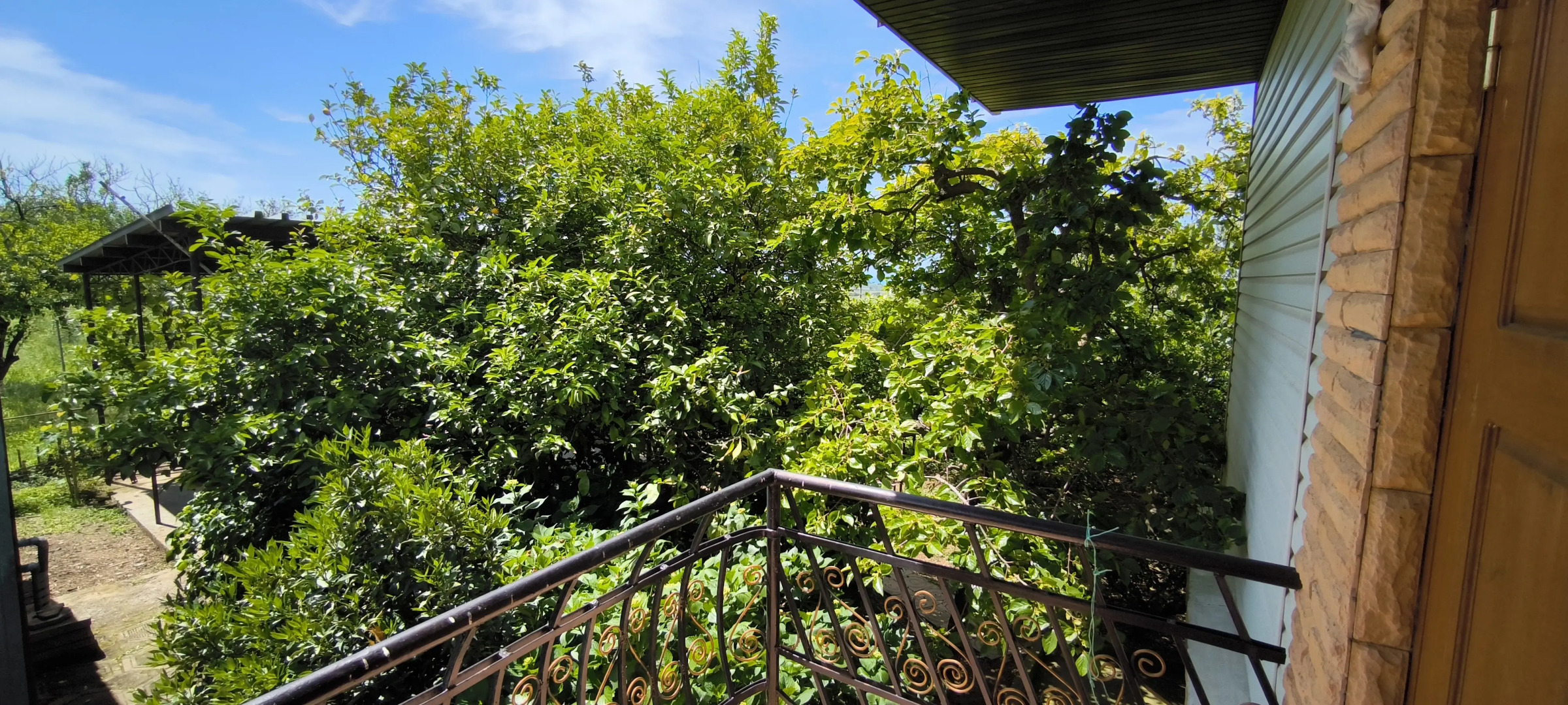 Гостевой дом Цитрус