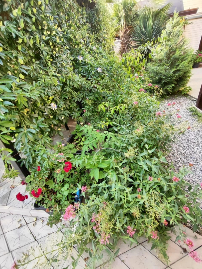 Гостевой дом Морская сказка