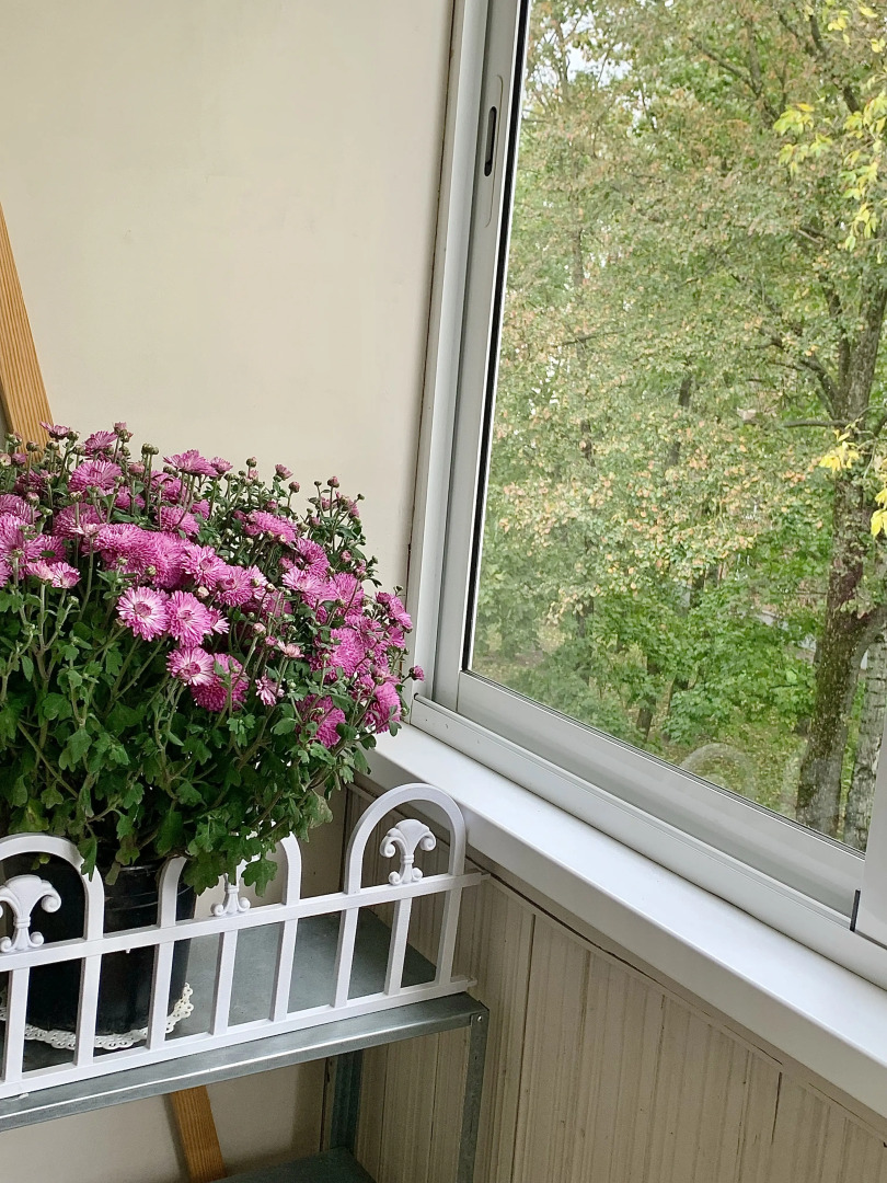 Апартаменты Blue Center City