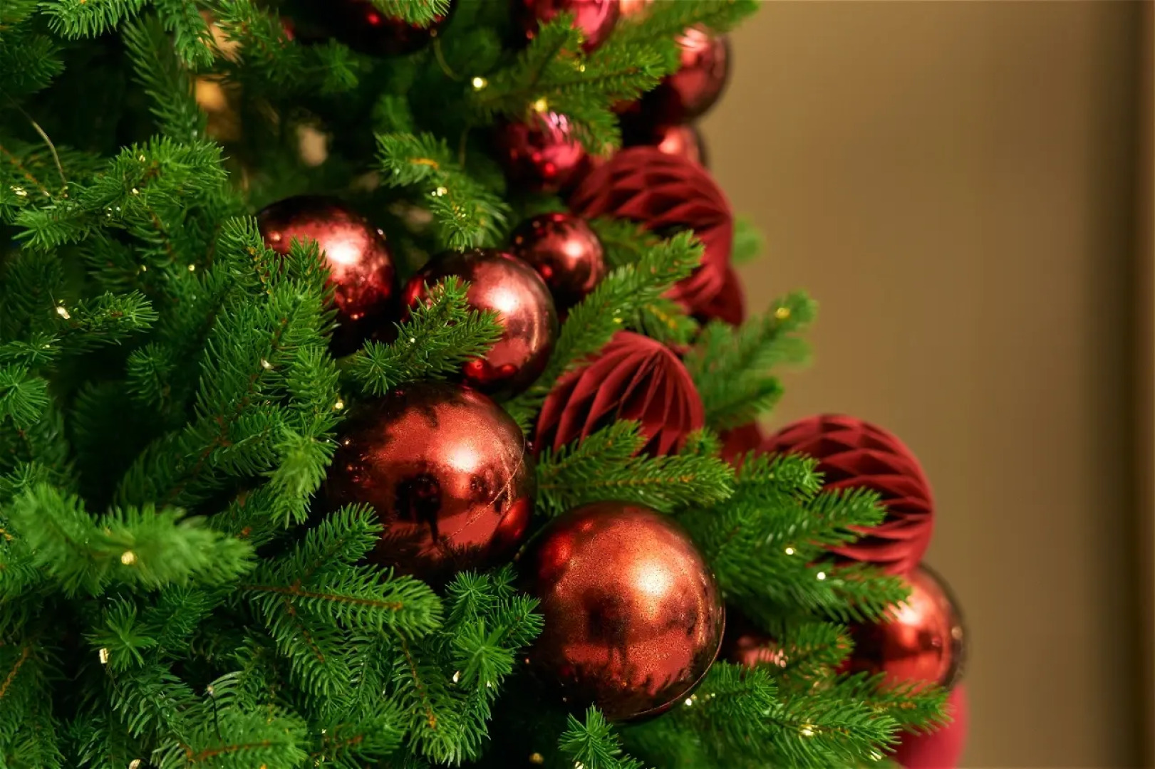 Отель Point Academia