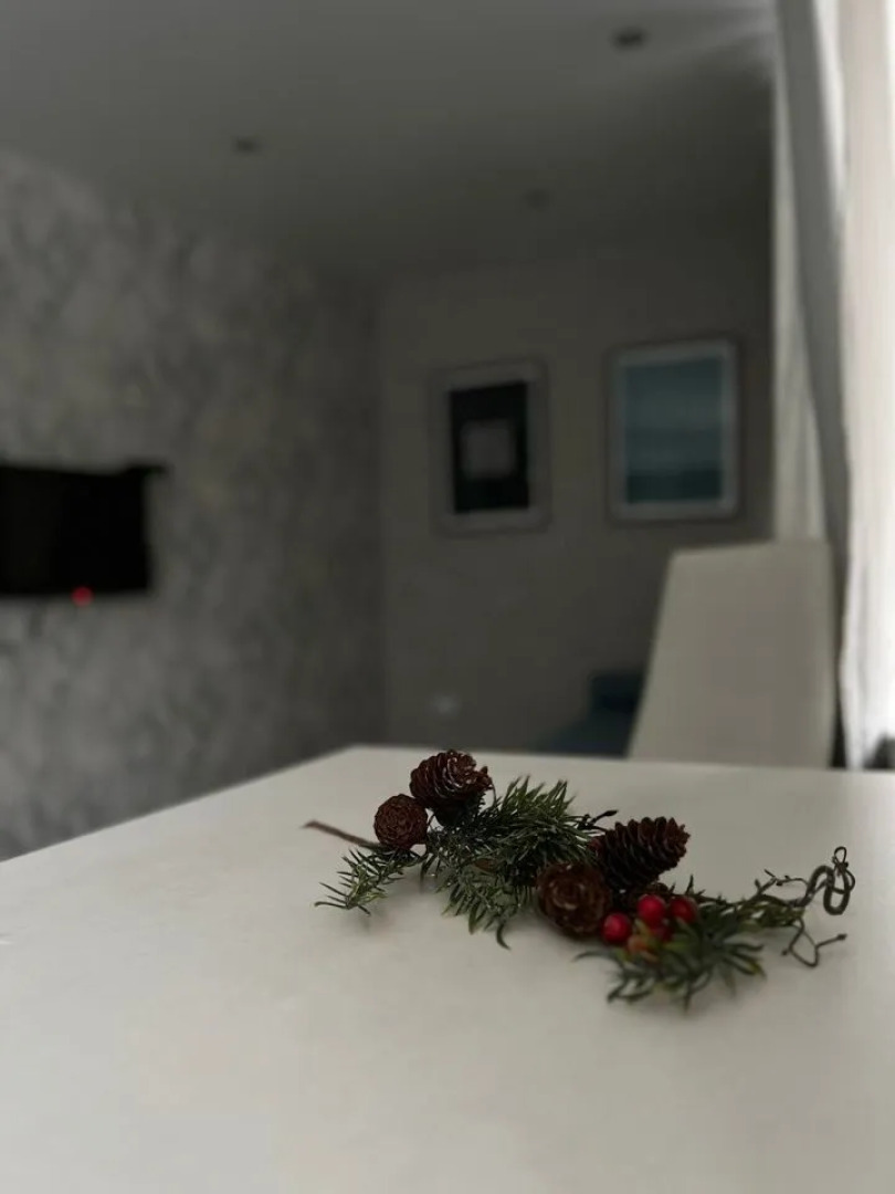 Квартира на Пушкинском Проспекте 4б