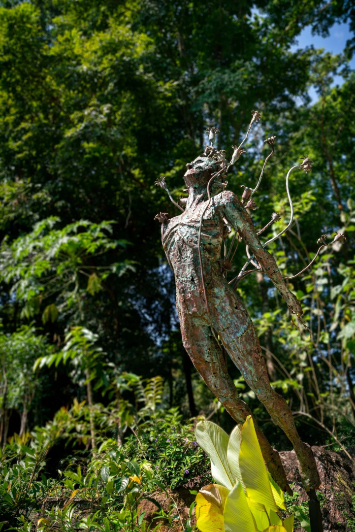 Отель Moksha Kitulagala