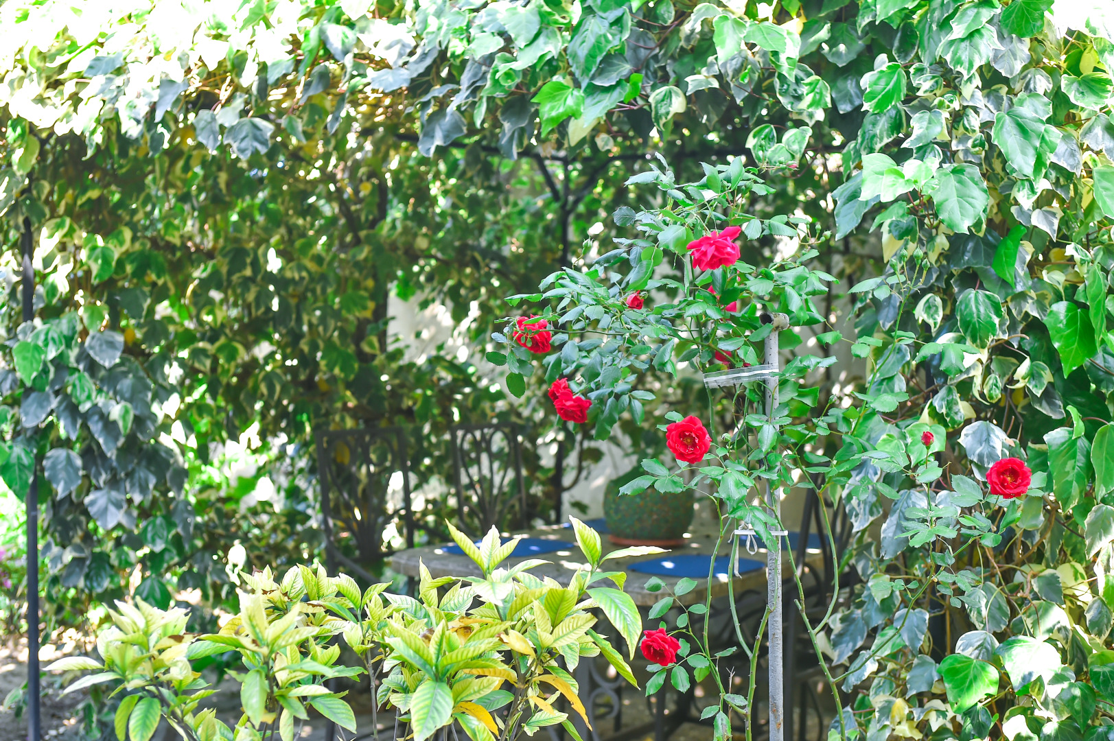 Гостевой дом София Грузия Кутаиси ул, Зугдидская 17