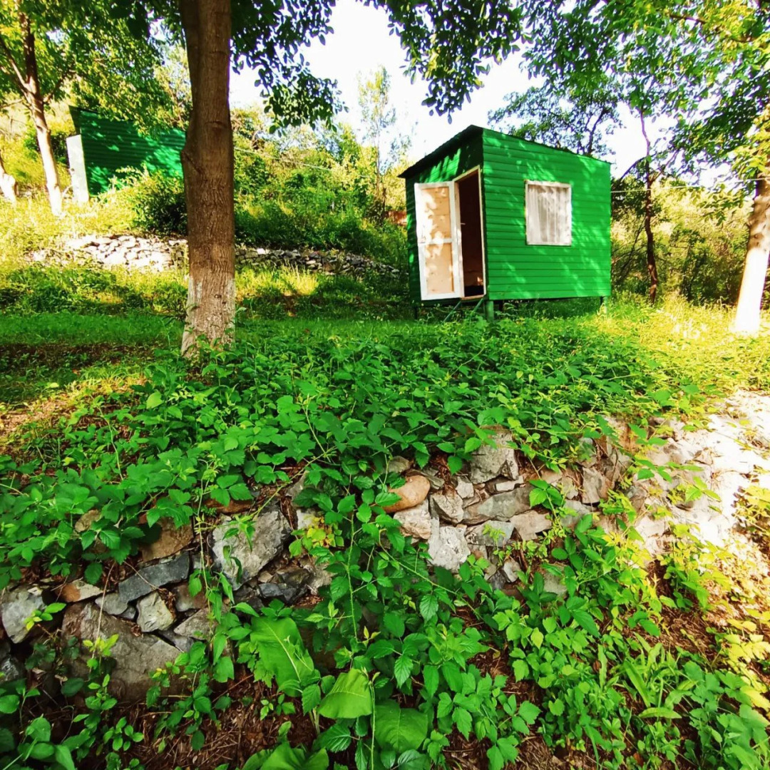Кемпинг Three poplars by VL