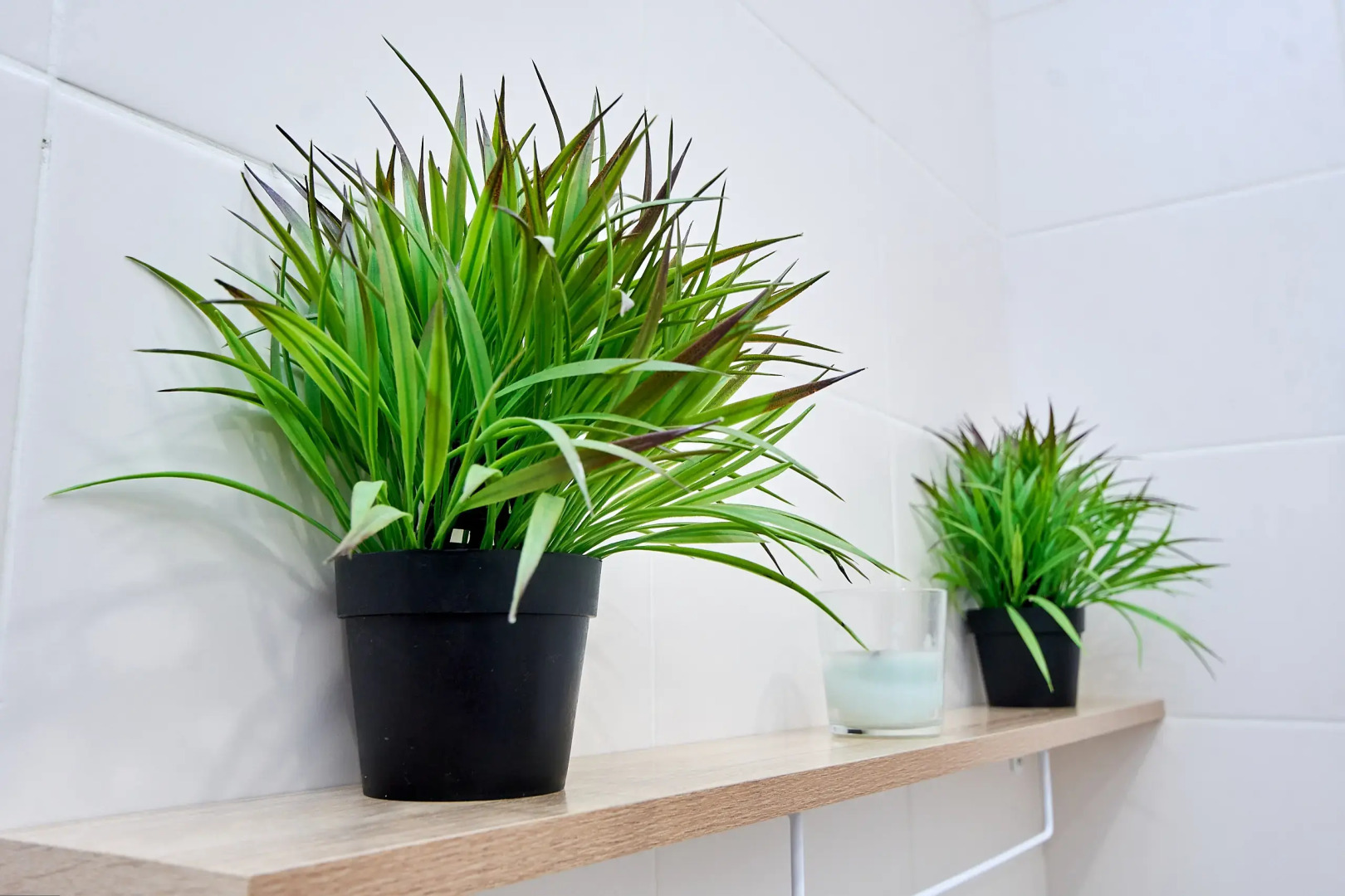 Квартира Аквапарк