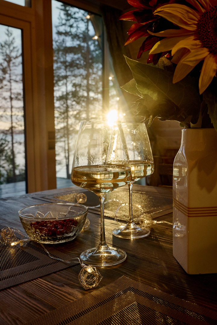 Гостевой дом Dream House in Karelia