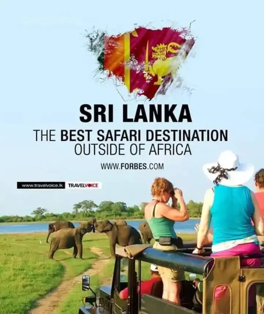 Отель Yala Waves Beach  Resort