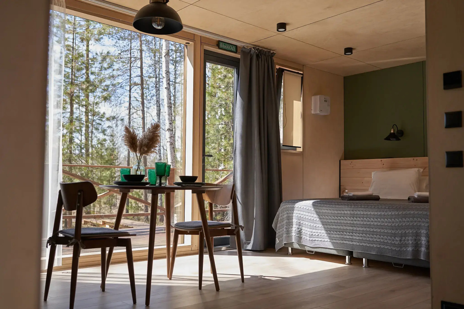 Снежные Гуси в Байкальске