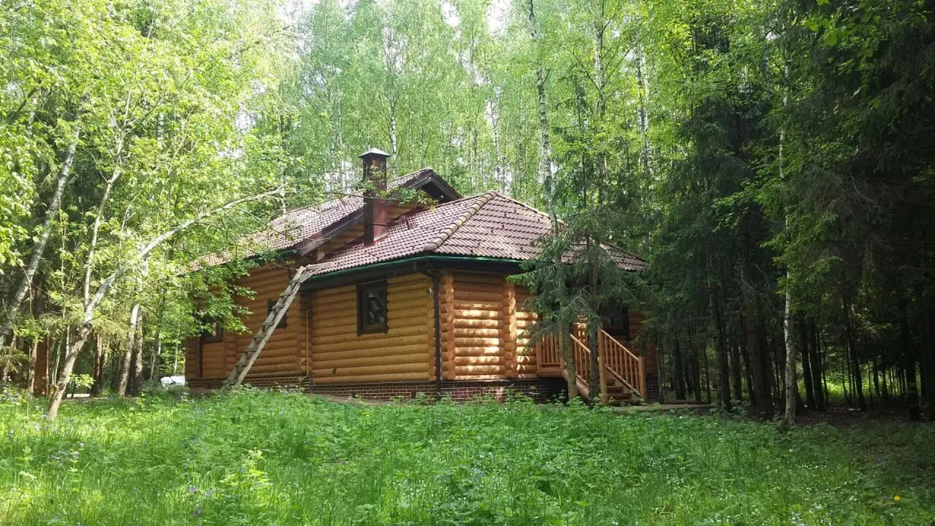 Гостевой дом Дикий Лис