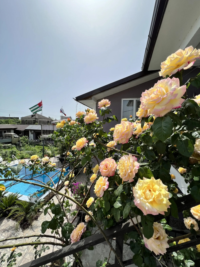 Гостевой дом Роза