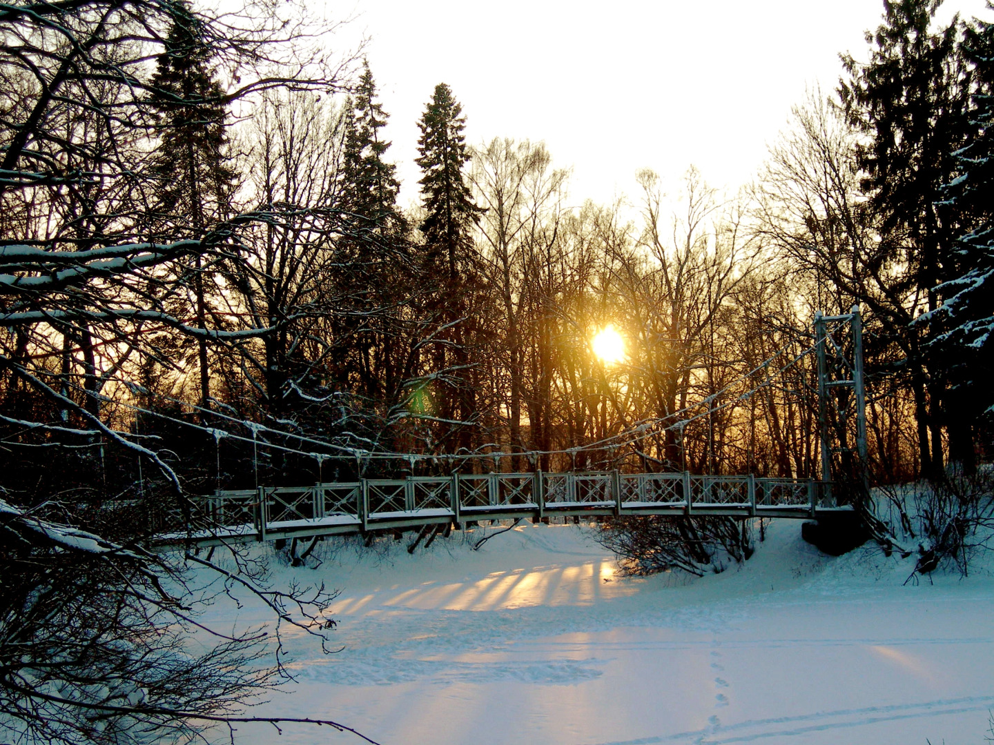 Парк-отель Ершово