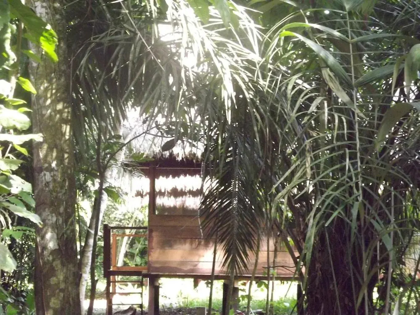 Гостевой Дом Ecolucerna Lodge