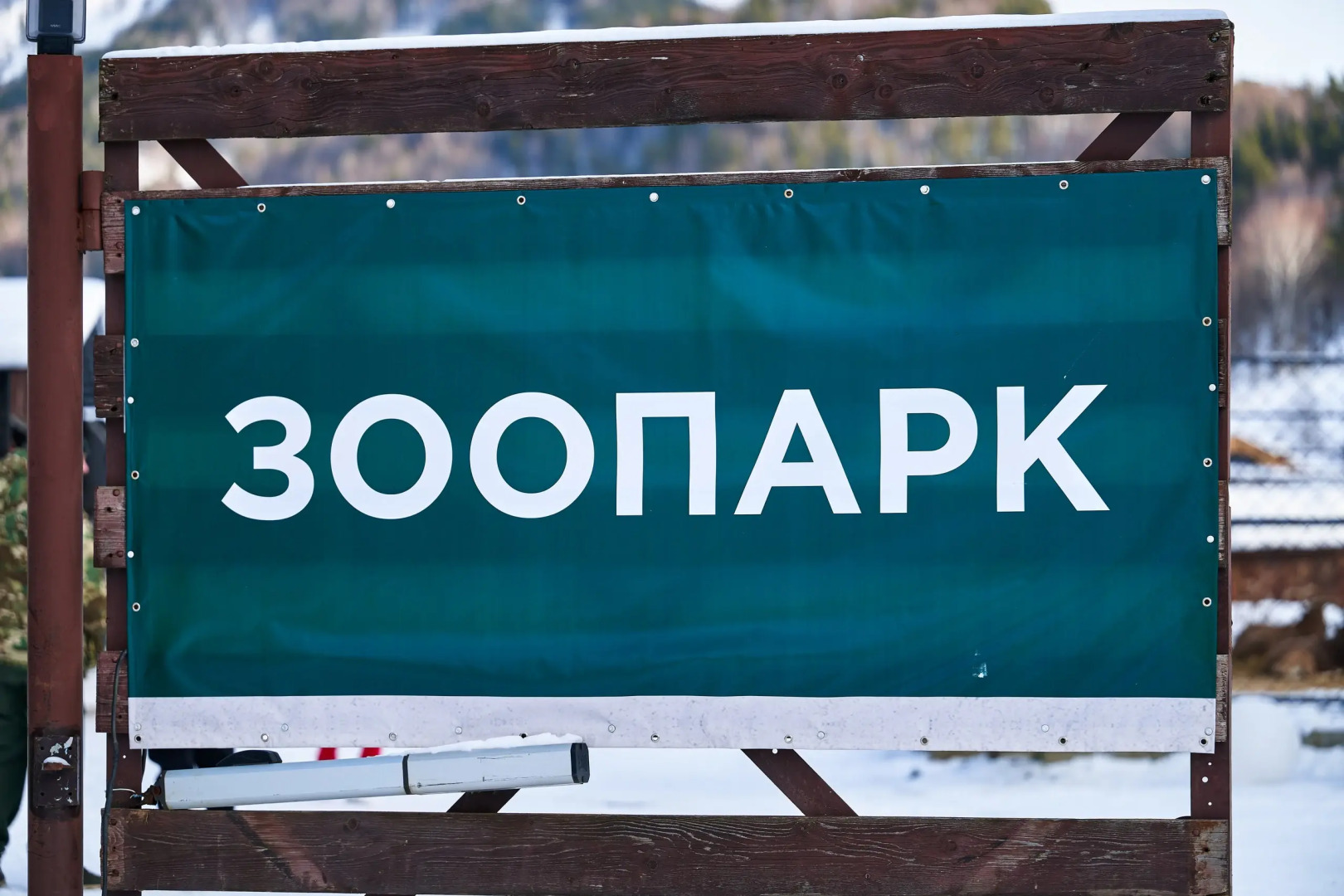 Отель Ель и Пихта