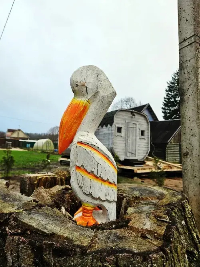 Гостевой дом Пеликан 2