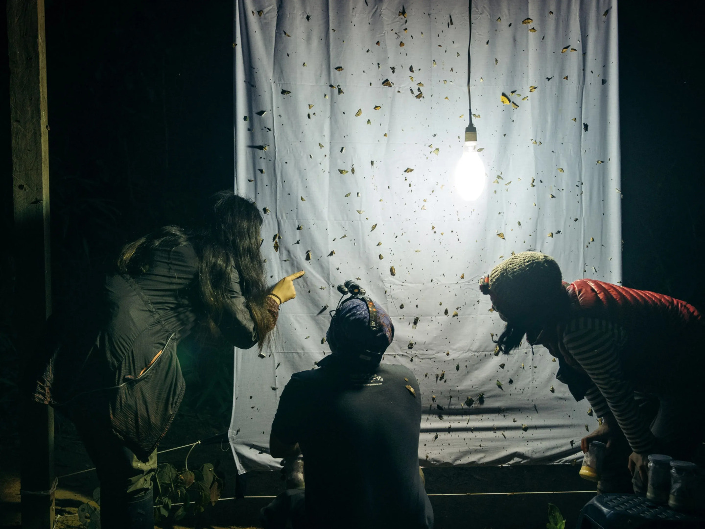 Отель Refugio Amazonas