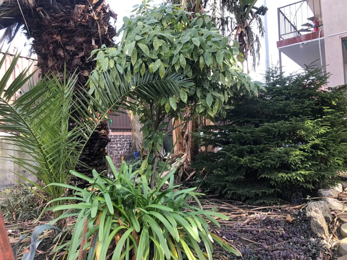 Гостевой дом Тропики