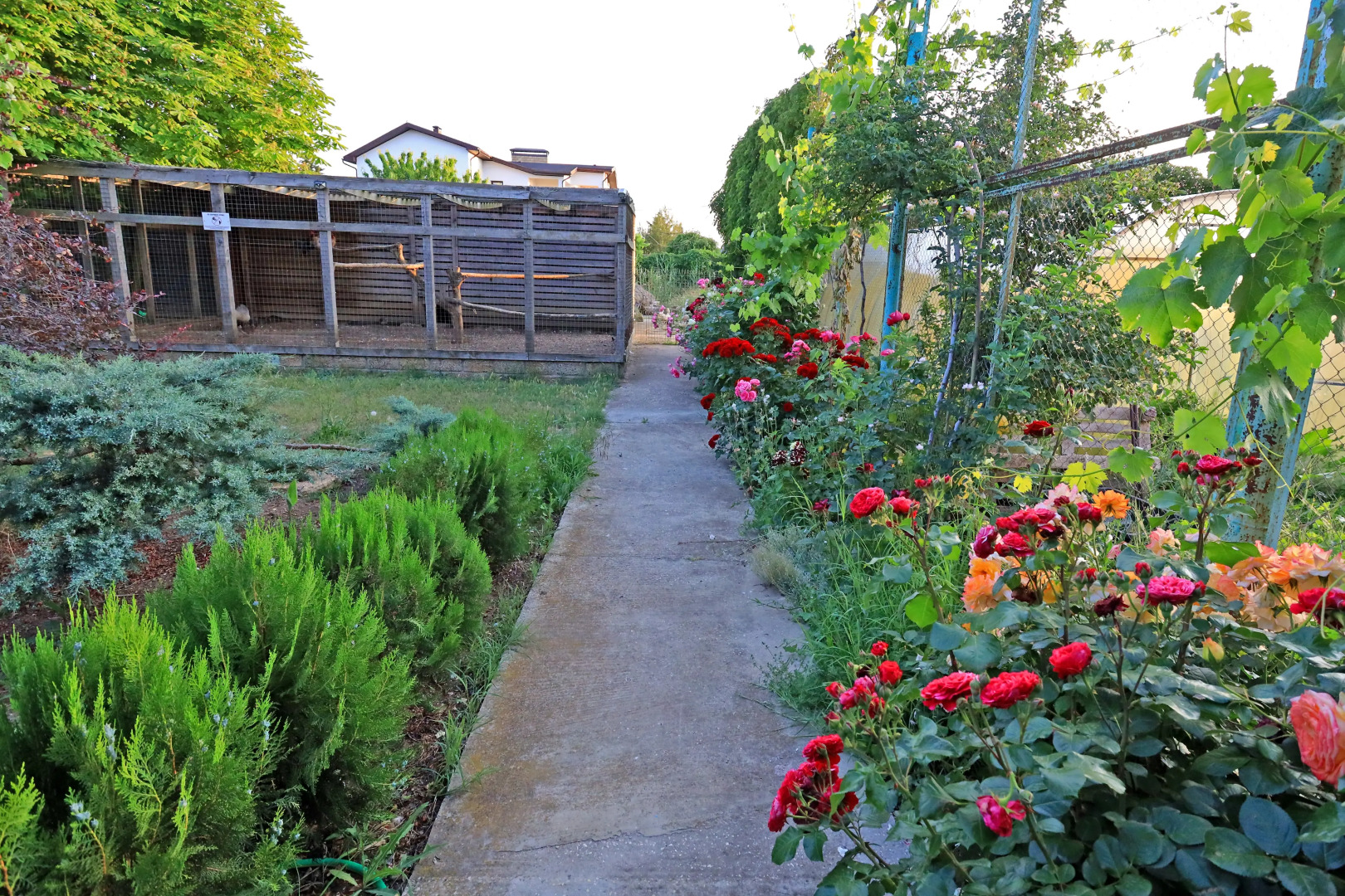 Гостевой дом Парк-отель Казантип Центр