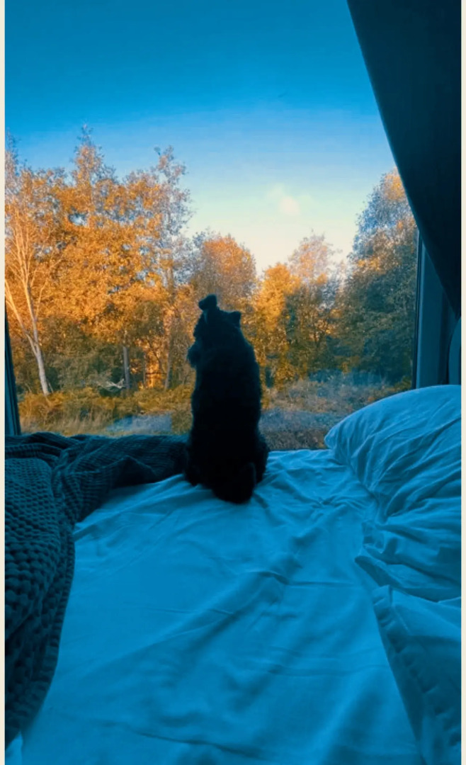 База отдыха Лава