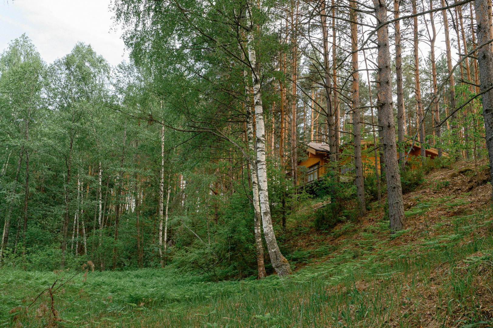 Эко-деревня Сивцево