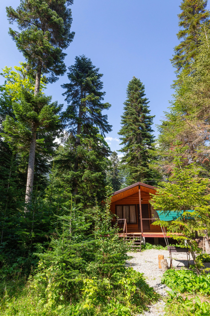 База отдыха Forest house resort