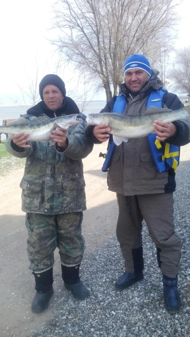 База Отдыха Найт Флайт