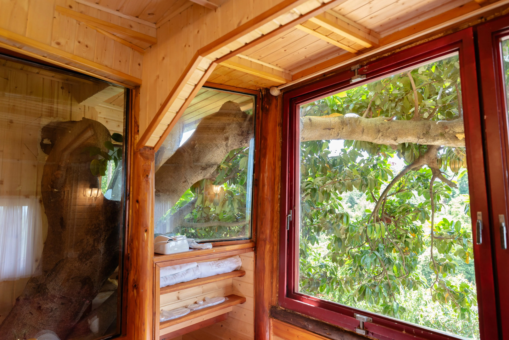 Частный дом TreeHouse GoldenSeaView TreeHouse