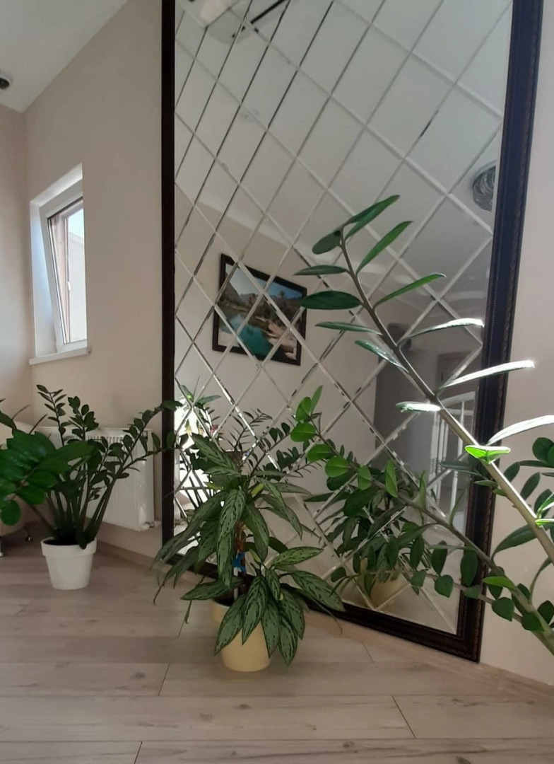 Отель Оазис