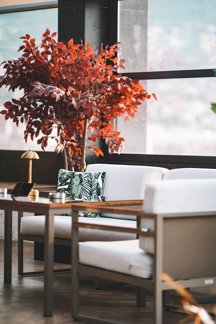 Отель Almira Thermal Spa & Convention Center