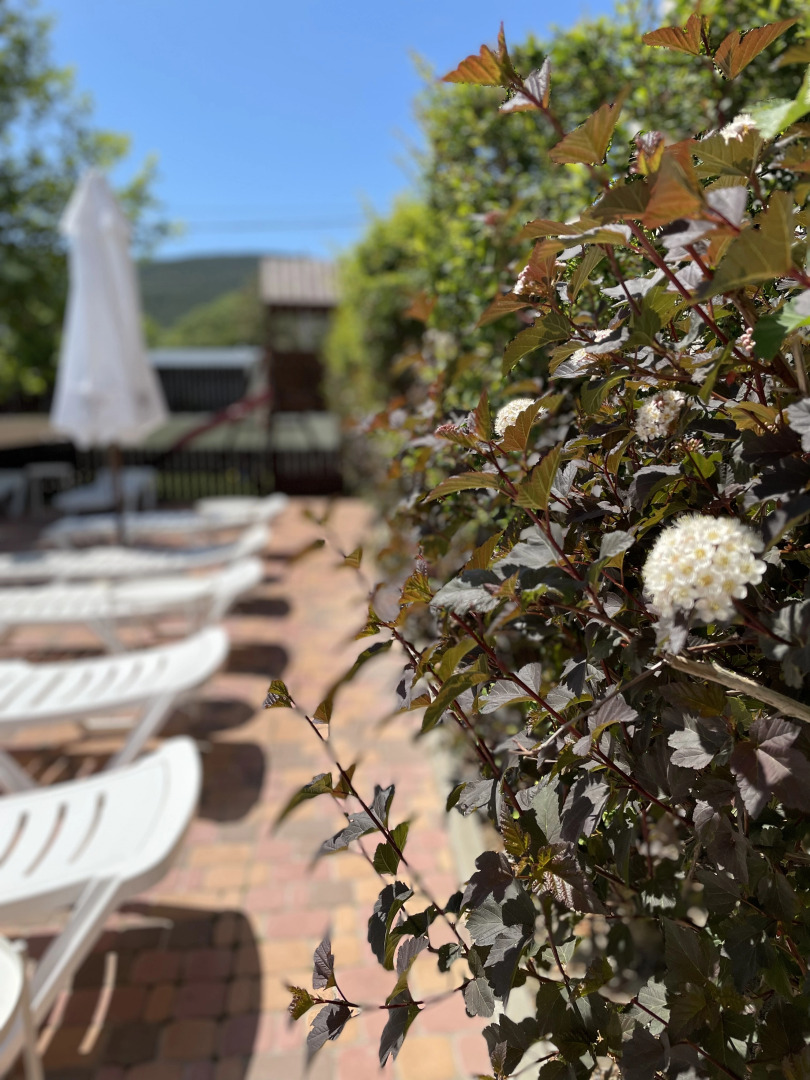 Гостевой дом Платан