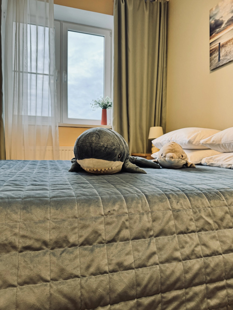 Апартаменты Прекрасная Кёнигсбергщина-1