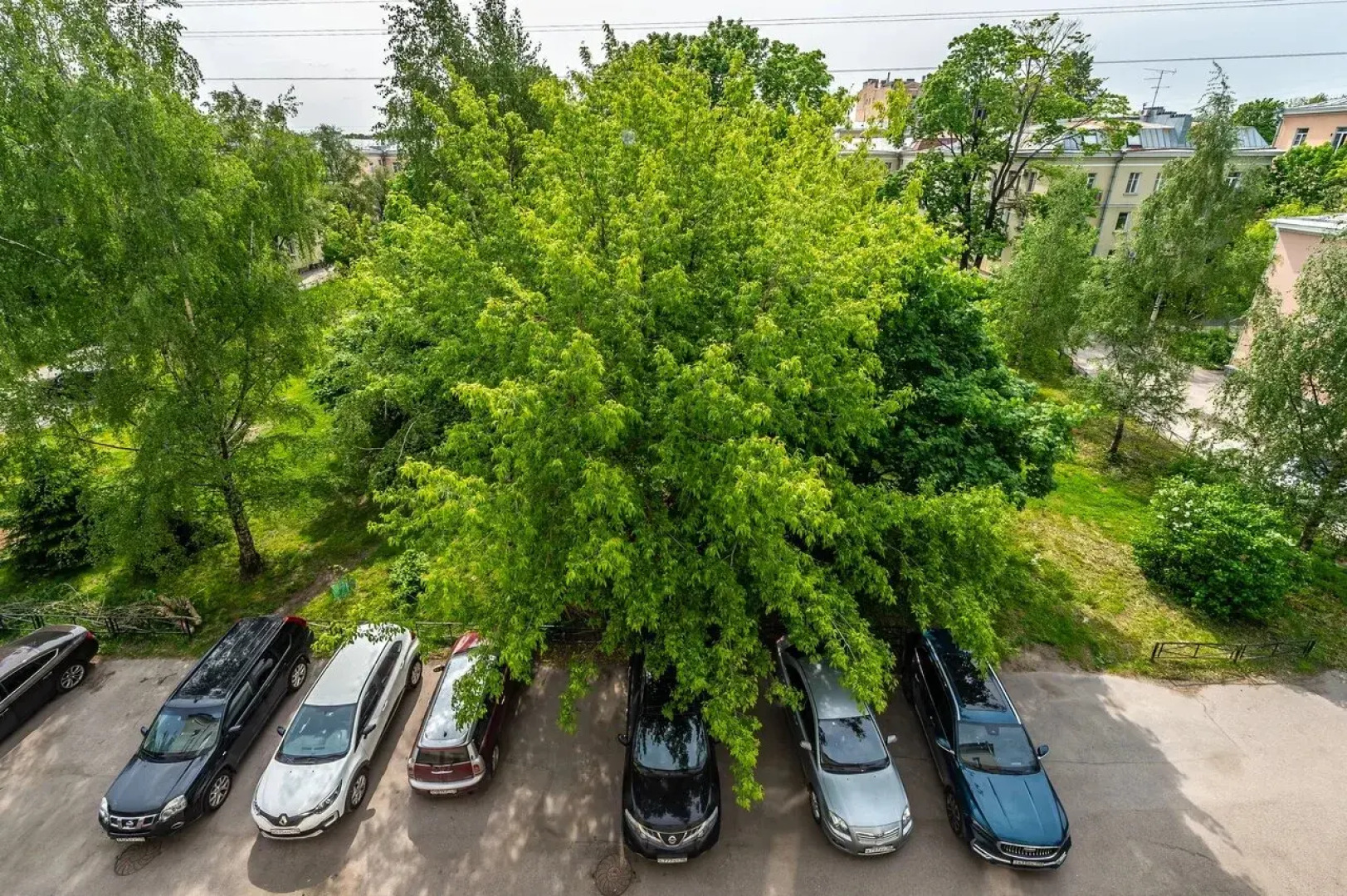 Квартира Уютная рядом с метро Черная речка
