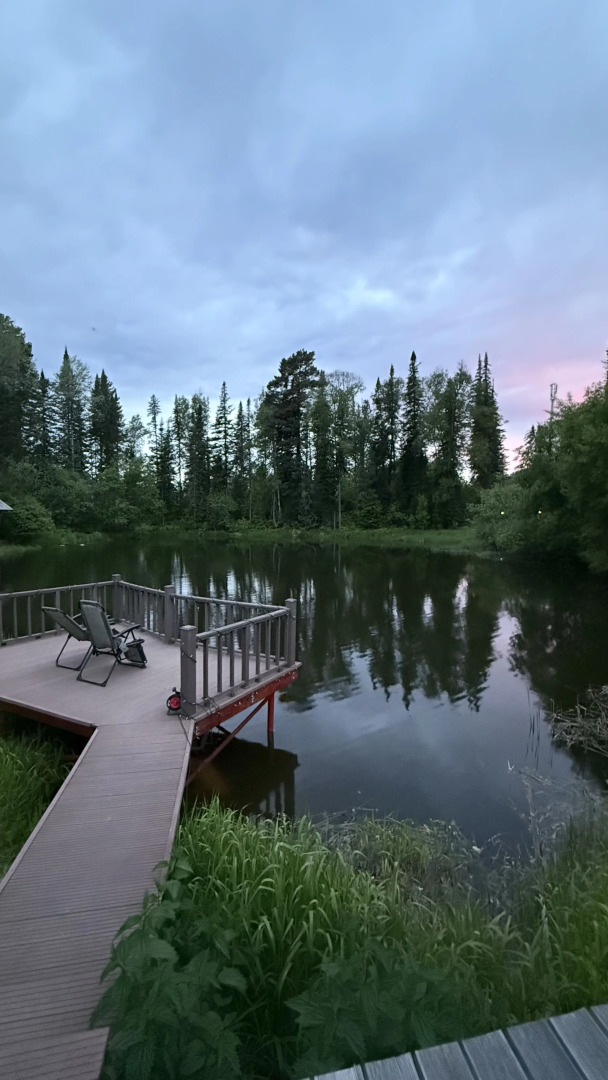 Шале Алтай Forest Glamp