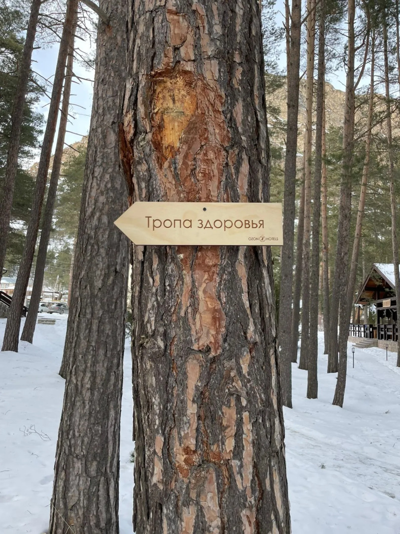 Отель Ozon Village