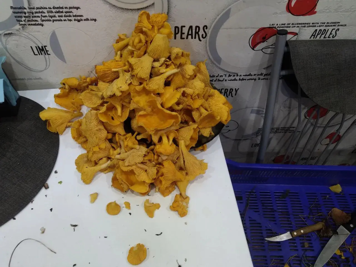 Частный дом у реки Сума