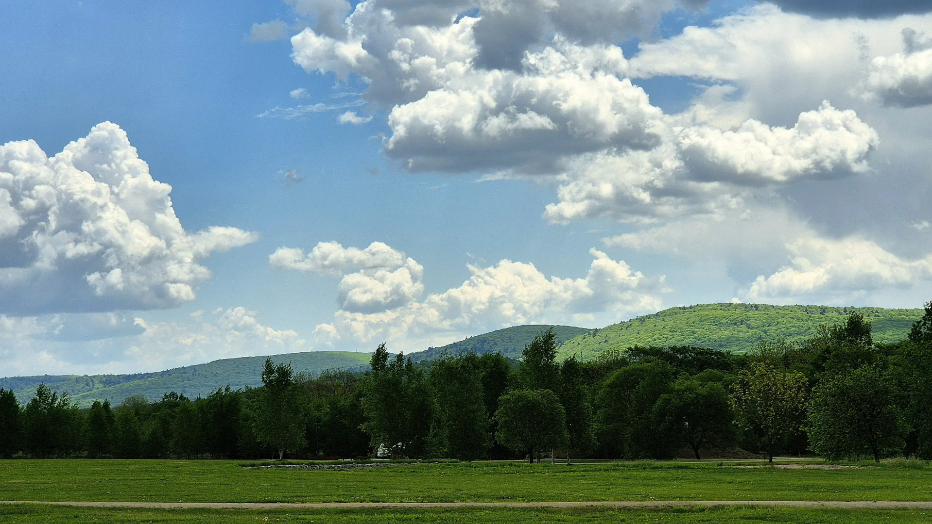 База отдыха Парк-отель Холмы