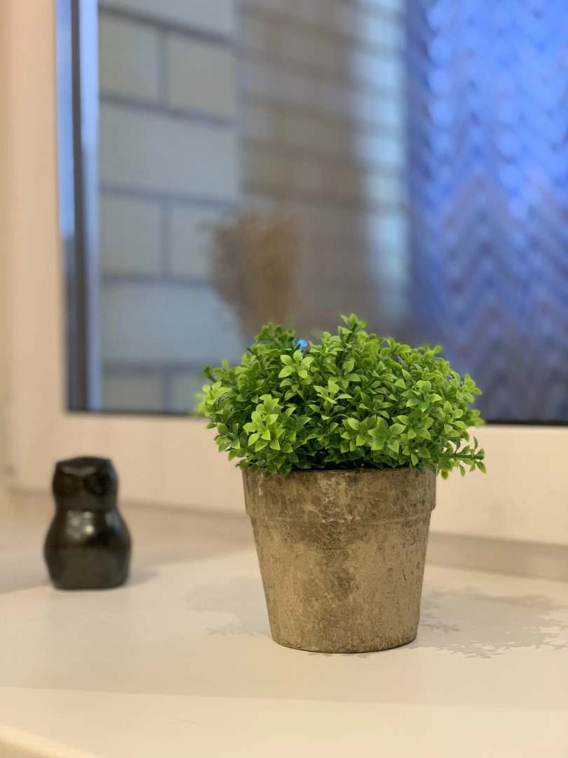 Апартаменты Завидово. Свежий воздух