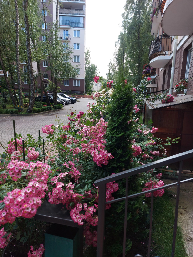 Квартира на море у санатория