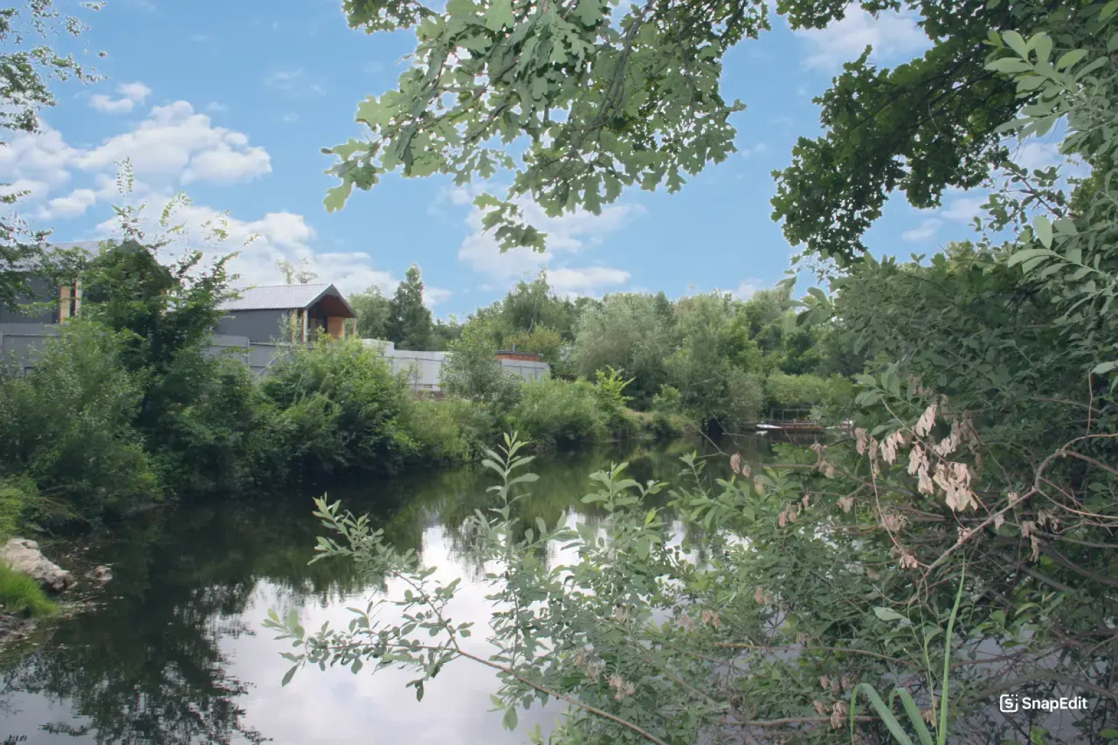 Гостевой дом Лес рядом