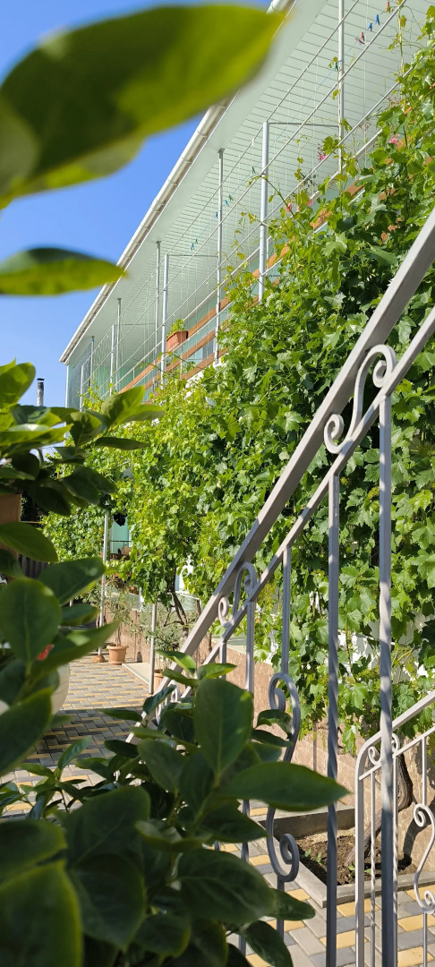 Гостевой Дом Oazis